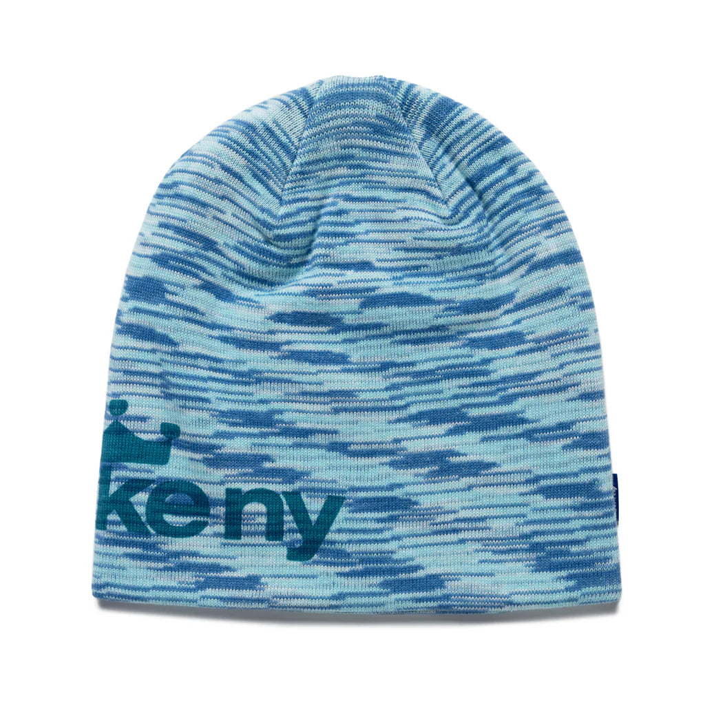 Awake NY Gradient Crown Logo Skully 'Blue'