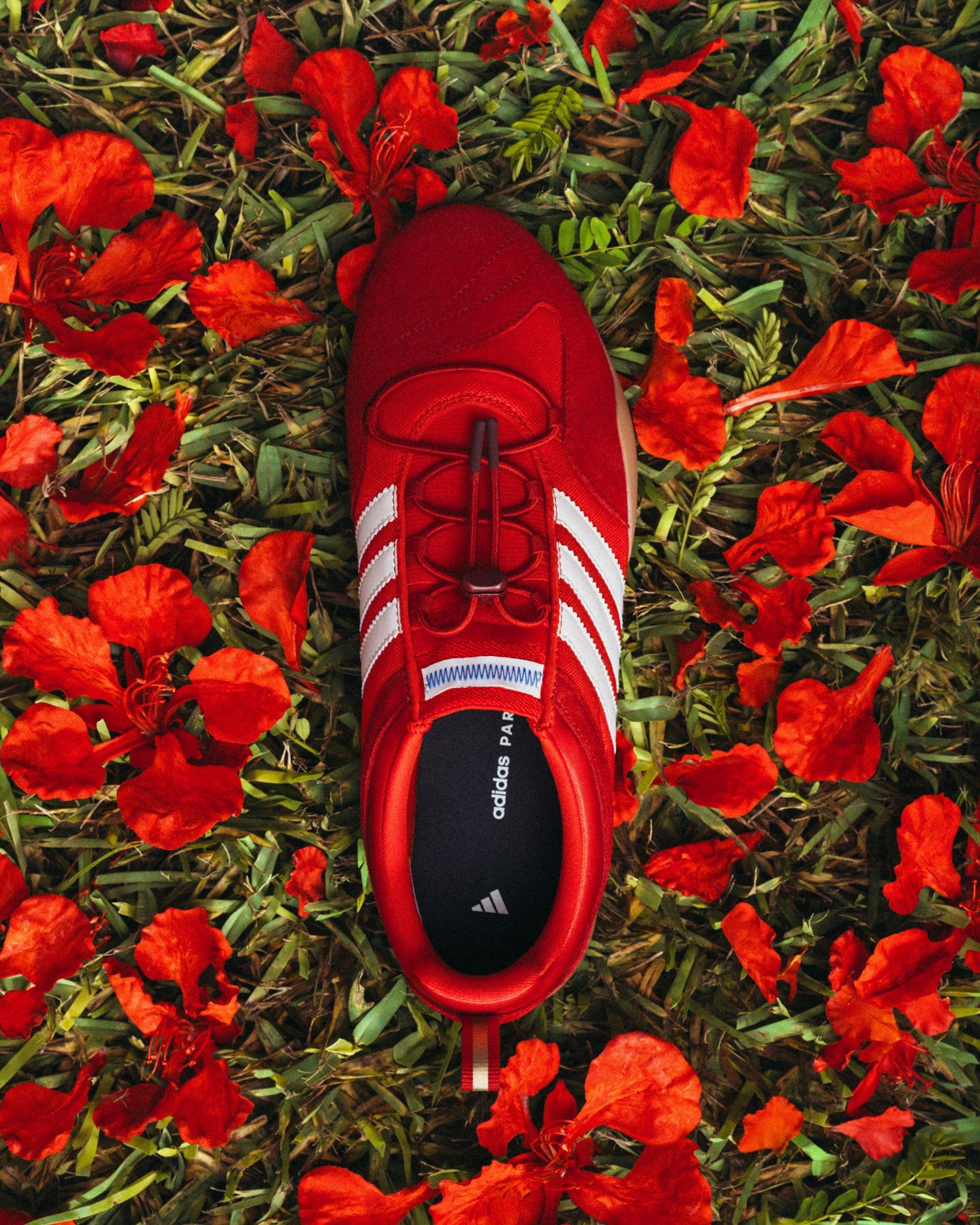 adidas Ballerina Bad Bunny 'Flamboyan'