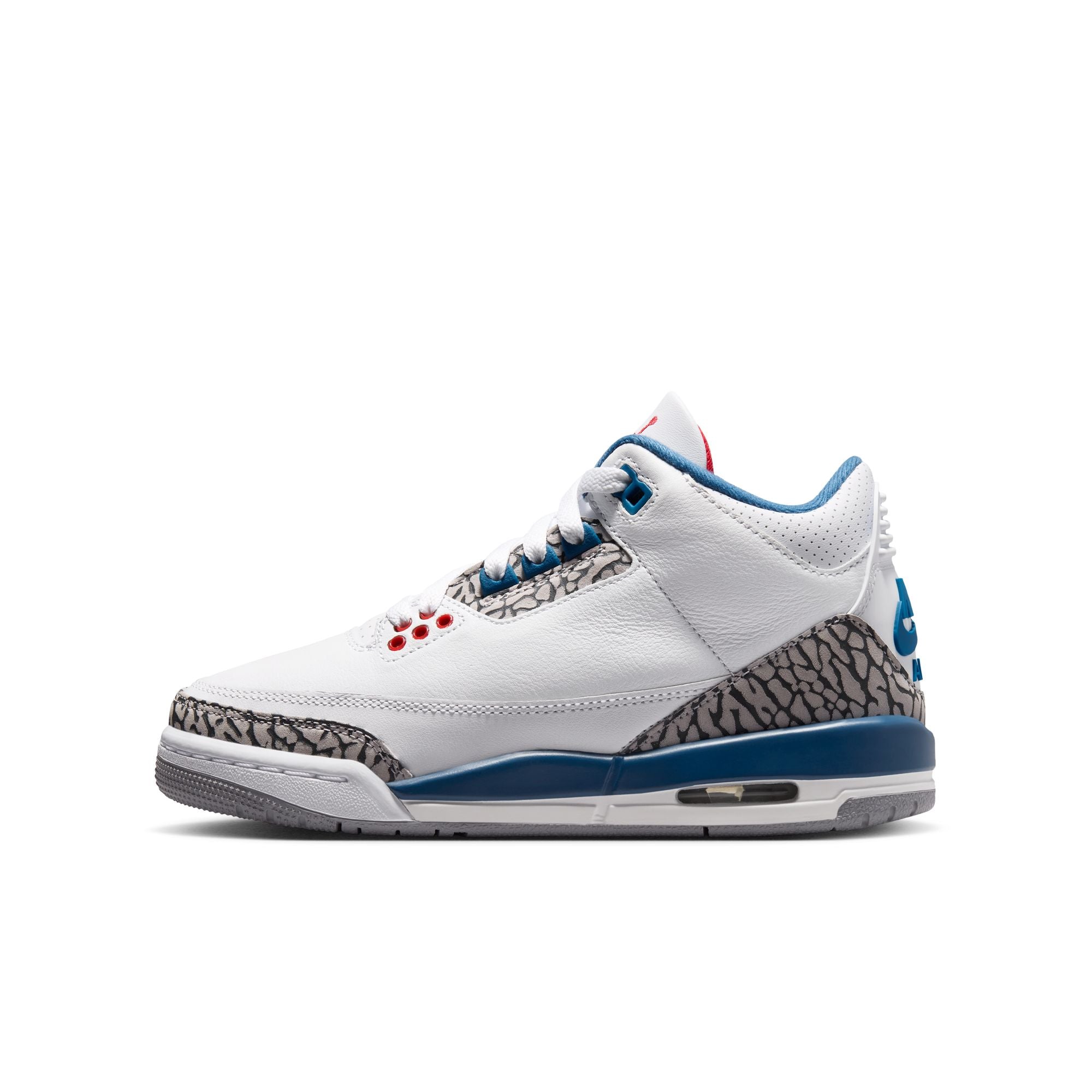 Youth Air Jordan 3 Retro 'True Blue'